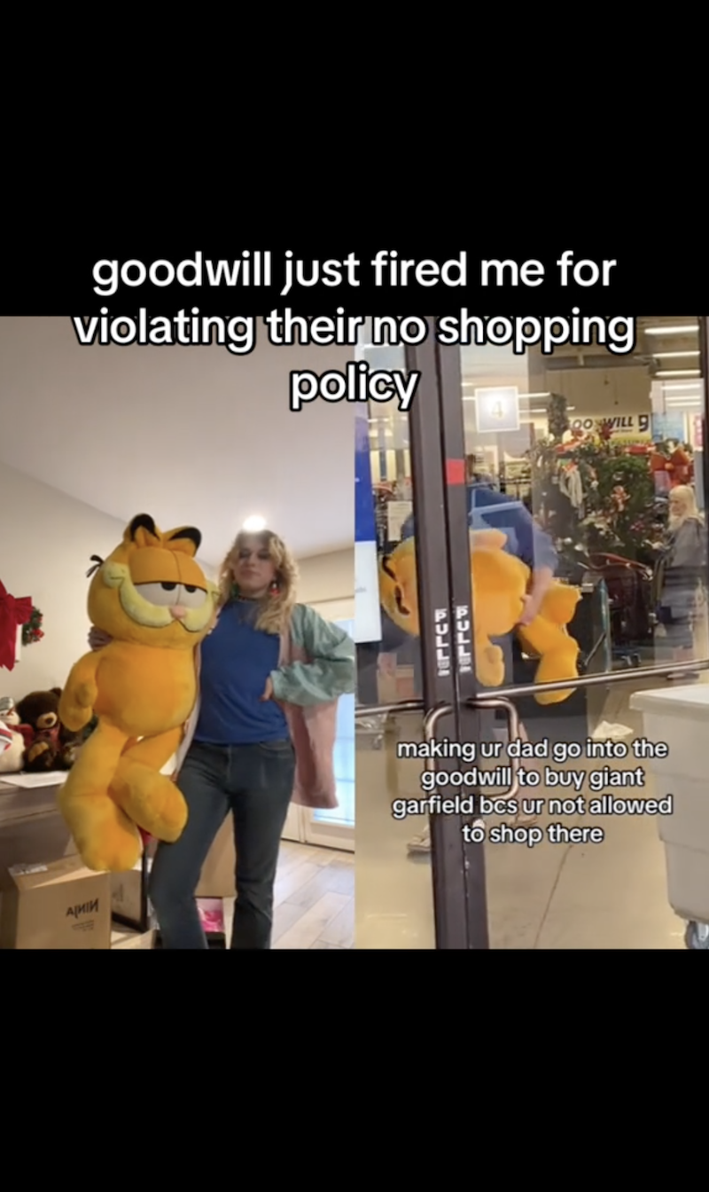 Garfield SS 4 Goodwill Forbids Employees From Shopping At Their Store, So Worker Sends Her Dad To Buy Her A Garfield Plushie. It Ends Up Getting Her Fired.