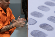 New Study Suggests Our Fingerprints Aren’t Totally Unique After All