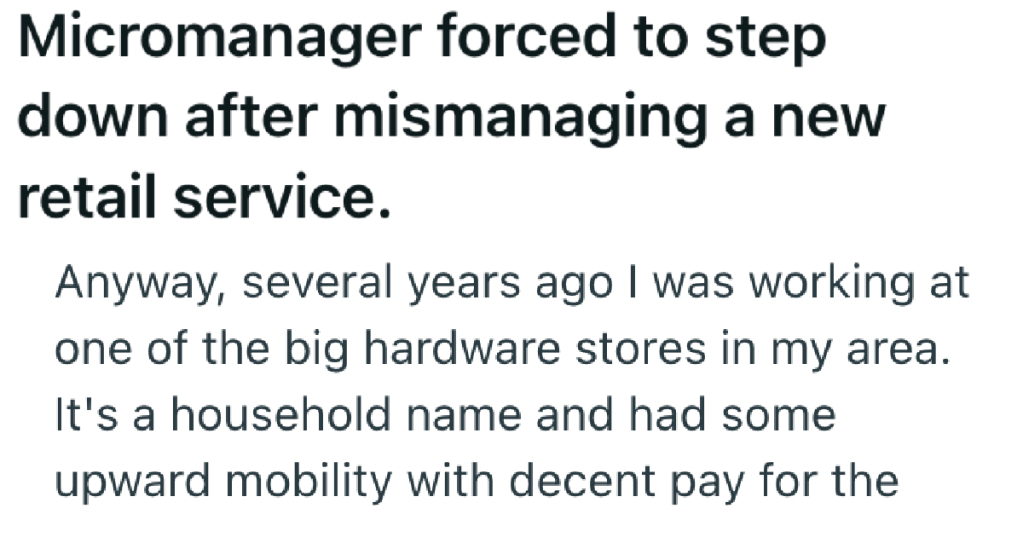 His Manager Started Micromanaging Everything He Did, So He Made Sure To Take His Feedback Forms To The Extreme