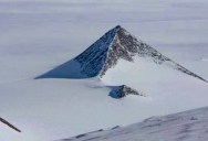 Picture of the Day: The Mountain Whale
