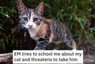 Woman’s Neighbor Threatened To Take Her Cat Because She Lets It Outside, So She Dared Her To Try It