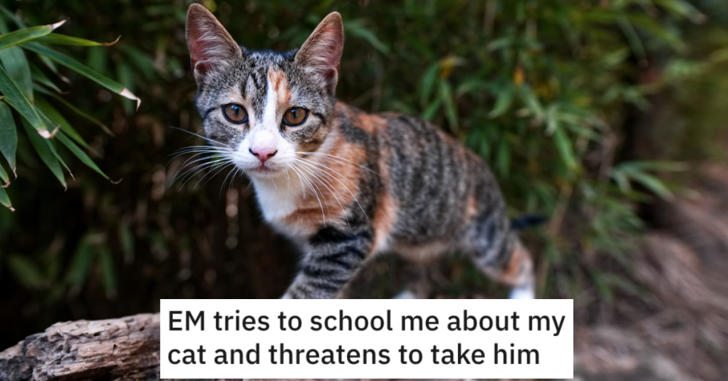 Woman’s Neighbor Threatened To Take Her Cat Because She Lets It Outside, So She Dared Her To Try It