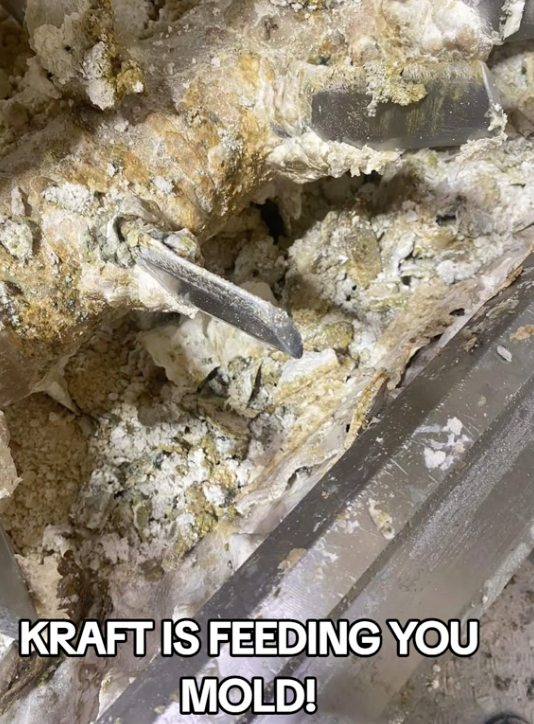 Do Photos Show Mold Growing on Kraft Mac and Cheese Mixer in