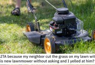 Their Neighbor Tried Out His New Lawnmower On Their Yard Because He Doesn’t Have A Lawn Yet And Left A Mess. – ‘It doesn’t seem normal to me to do this.’