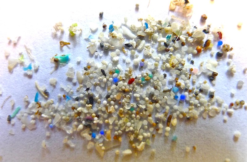 21282786668 f8f98915cc c Scientists Are Finding Microplastics In Our Arteries, And They May Be Causing Serious Heart Disease