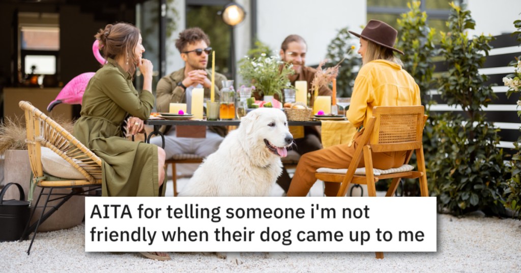 A Strange Dog Approached Him At A Restaurant, So He Rudely Confronted The Owners