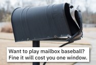 Vandals Kept Playing Baseball With Her Mailbox, So A Helpful Brother Set A Trap That Got Shattering Revenge
