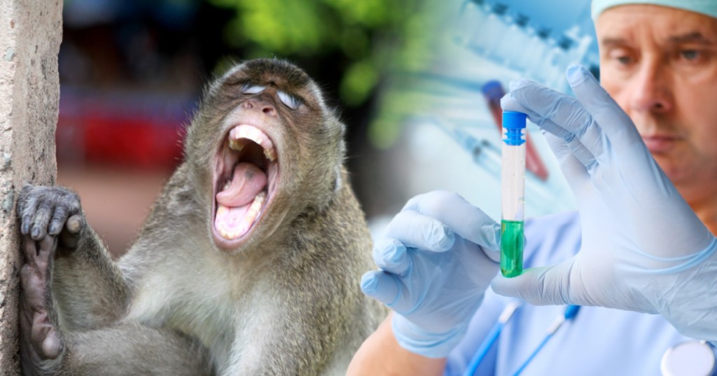 Monkeys Implanted With Neuralink Had Brain Swelling, Partial Paralysis And Self Harming Behavior