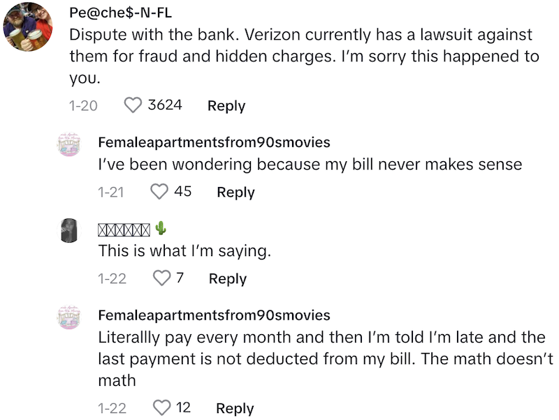 Verizon Comment 3 They hijacked my finances.   Verizon Denies Womans Request For A Refund After Someone Fraudulently Orders 3 Phones On Her Account