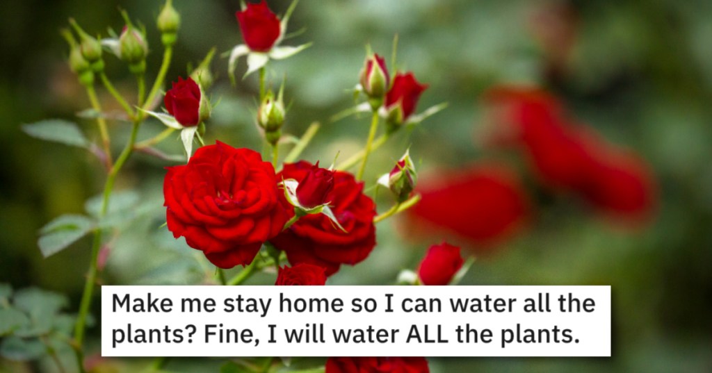 Mom Said To Water All The Plants, So He Nearly Offed Her Roses To Prove A Point