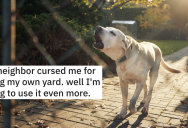 Neighbor’s Dogs Go Crazy When She Lets Her Pups Into Her Own Backyard, So She Routinely Brings Hers Inside. But When They Insult Her, She Decides To Let Her Dogs Out Whenever She Wants.