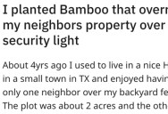 Rude Neighbor Installs Invasive Lights, So They Planted Bamboo That Blocked the light And Took Over His Yard