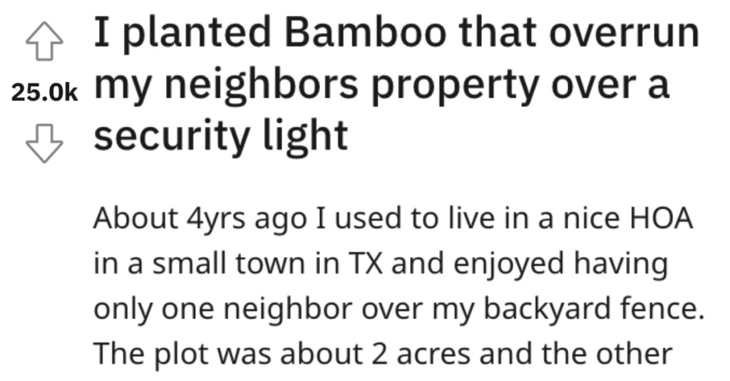Rude Neighbor Installs Invasive Lights, So They Planted Bamboo That Blocked the light And Took Over His Yard