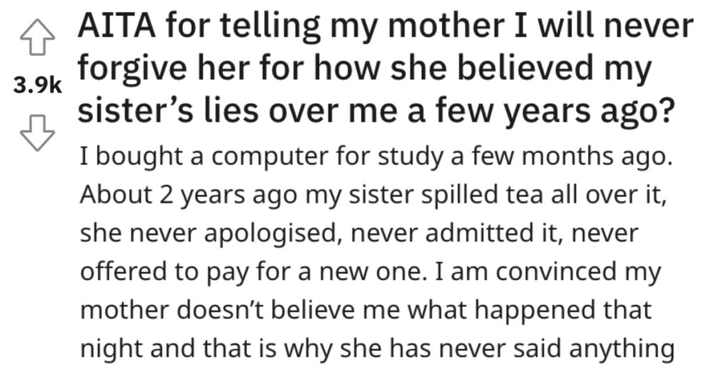 Her Mother Continues To Believe Her Sister’s Blatant Lies, So She Told Her She'll Never Forgive Her Playing Favorites