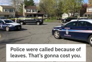 Neighbor Called The Cops Because Some Leaves Blew Into His Yard, So He Returned The Favor And Alerted Police To His Unregistered Car