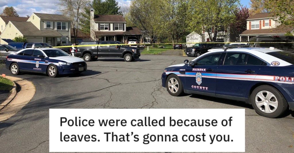 Neighbor Called The Cops Because Some Leaves Blew Into His Yard, So He Returned The Favor And Alerted Police To His Unregistered Car