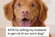 Pregnant Wife Wants To Get Rid Of Their Son’s Dog Because She’s Afraid Of Them, And She Told Her Husband’s Parents To Force His Hand