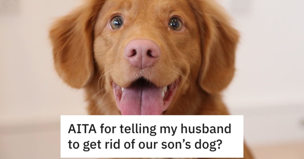 Pregnant Wife Wants To Get Rid Of Their Son’s Dog Because She’s Afraid Of Them, And She Told Her Husband's Parents To Force His Hand