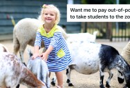 They Wanted Her To Pay Out-Of-Pocket To Take Her Students To The Zoo, So She Found A Local Petting Zoo Instead