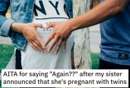 Her Sister Is Pregnant Again And She Made Her Feel Bad About It. Now Her Family Members Think She’s a Jerk.