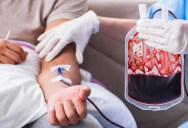 Could Alzheimer’s Spread Through Blood Transfusions? New Research Suggests A Worrying Link.
