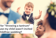 Aunt Insists On A Child-Free Wedding And Only Excludes Her 17-Year-Old Niece. So Her Sister Refuses To Attend, But She’s Accused Of Throwing A Tantrum.