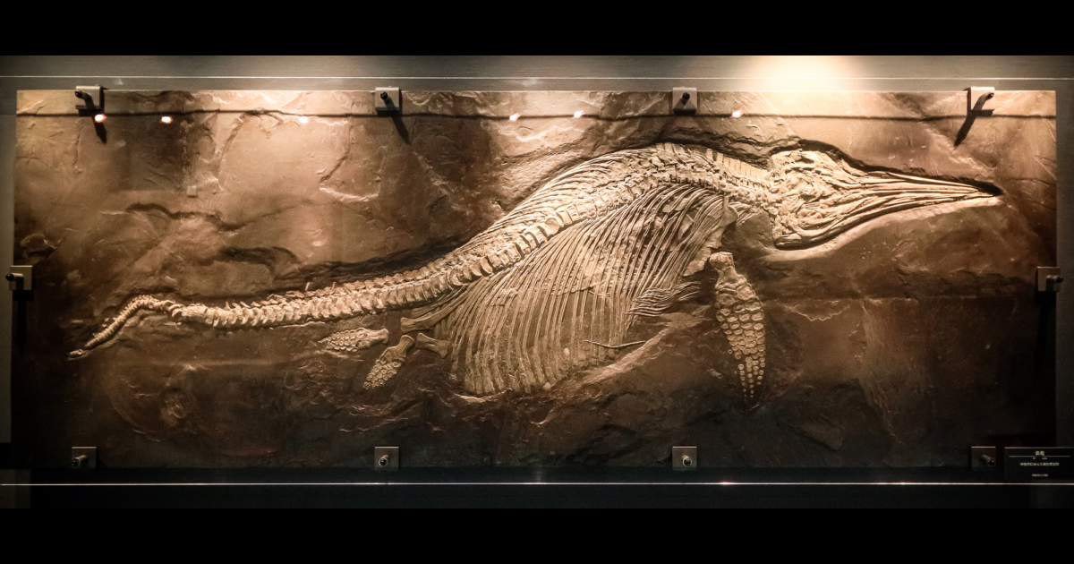 Discovering the Largest Marine Reptile Ever: Ichthyotitan severnensis in Blue Anchor, Somerset