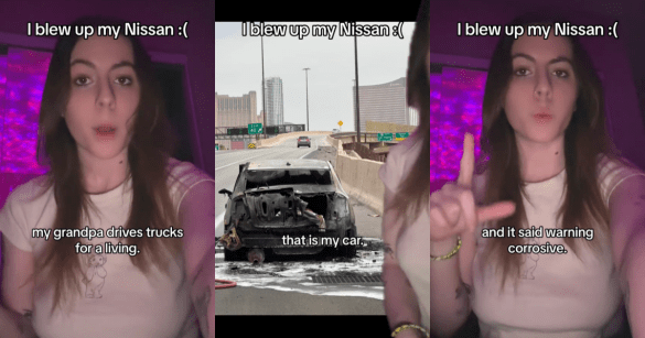 Source: TikTok/@whosalexisroddy