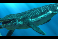 The SeaRex: The Giant Sea Monster That’s Breaking Records With Its Massive Skull