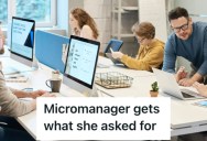 A Manager Made Everybody Document Their Tasks After One Employee Wasn’t Pulling Their Weight, So Employees Got Revenge By Overloading Her With Emails About Their Daily Workload
