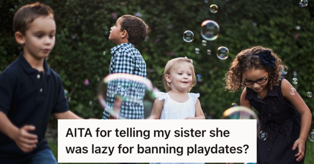 His Sister Complained About The Playdates Her Kids Have So She Banned Them, But He Told Her She's Just Being Lazy