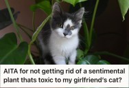 His Girlfriend Wants Him To Get Rid Of A Plant That’s Toxic To Her Cats, But He Wants To Keep It For Sentimental Reasons