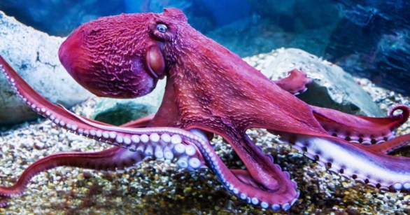 Source: Shutterstock