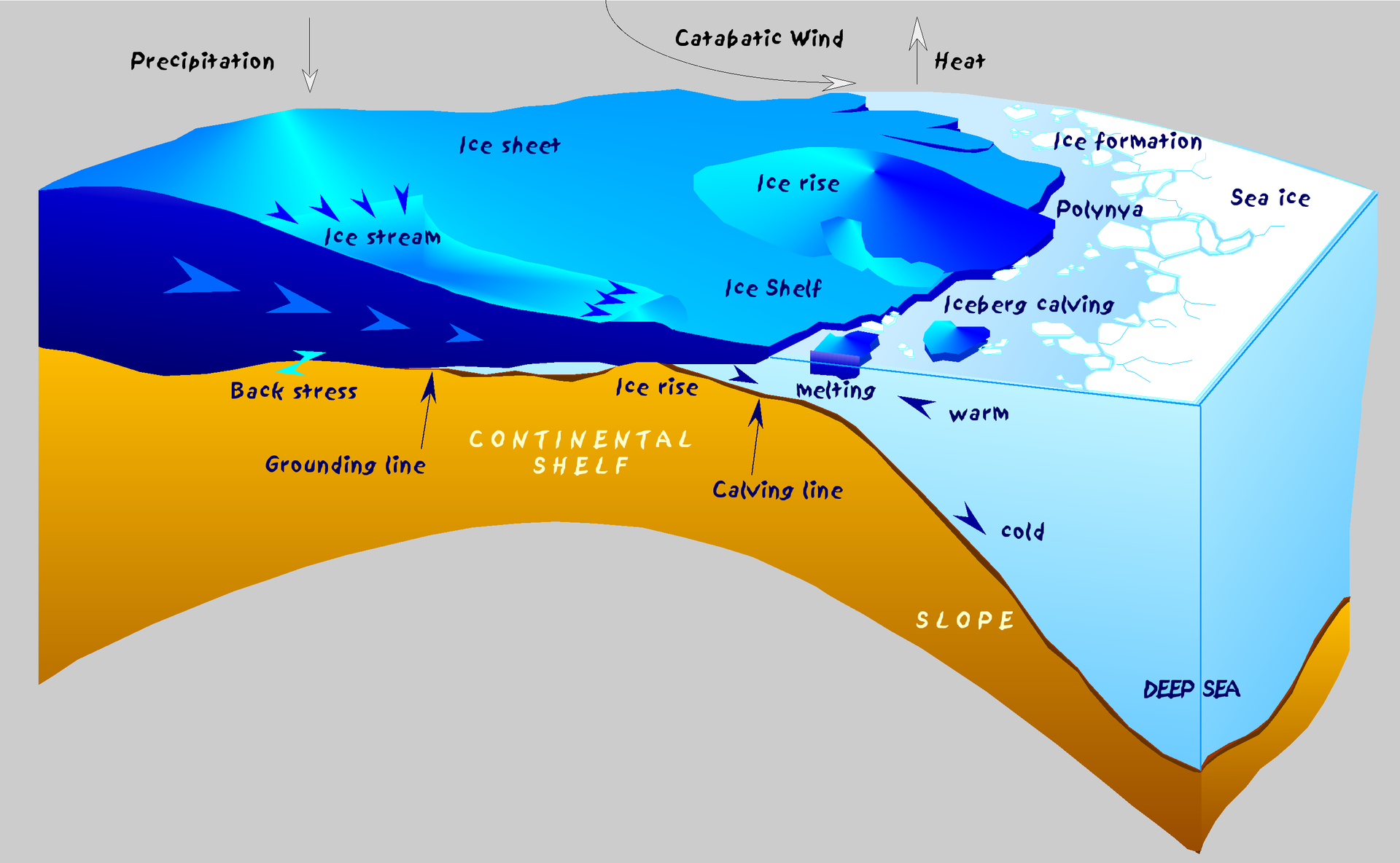 Source: Alfred Wegener Institute for Polar and Marine Research