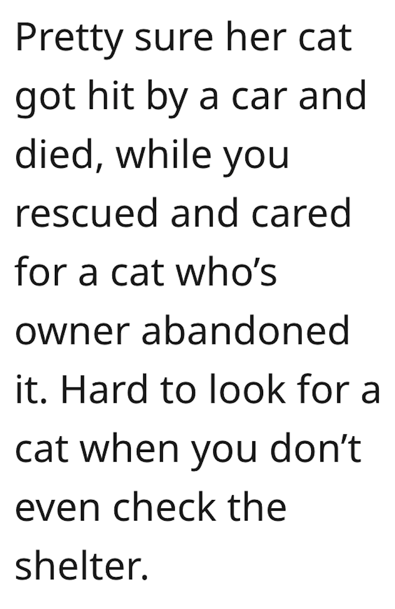 Cat Comment 1 After Womans Neighbor Neglects Cat For Years, She Saves It From A Life Threatening Injury And Adopts It. Now Her Neighbor Wants It Back.