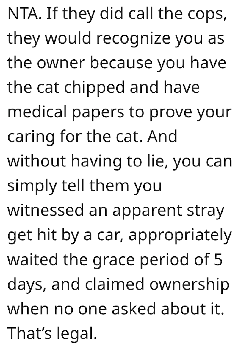 Cat Comment 3 After Womans Neighbor Neglects Cat For Years, She Saves It From A Life Threatening Injury And Adopts It. Now Her Neighbor Wants It Back.