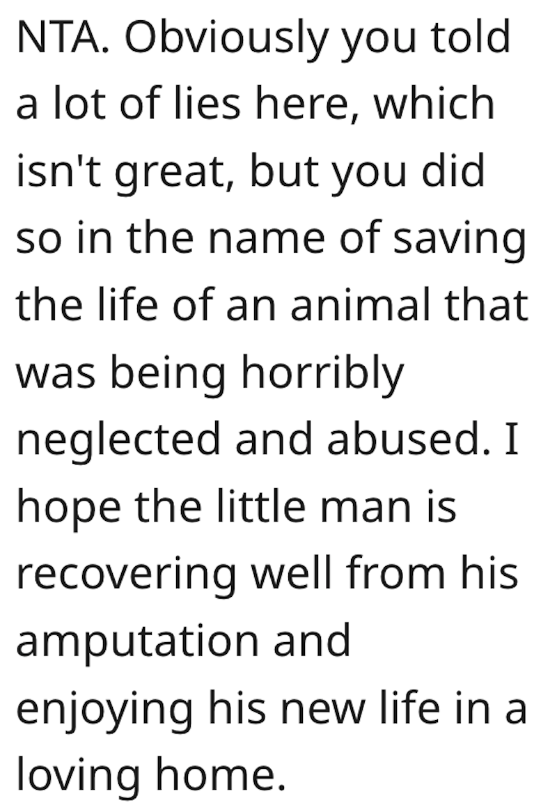 Cat Comment 4 After Womans Neighbor Neglects Cat For Years, She Saves It From A Life Threatening Injury And Adopts It. Now Her Neighbor Wants It Back.