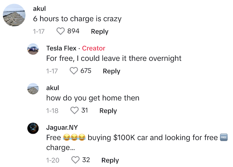 Source: TikTok/@tesla.flex