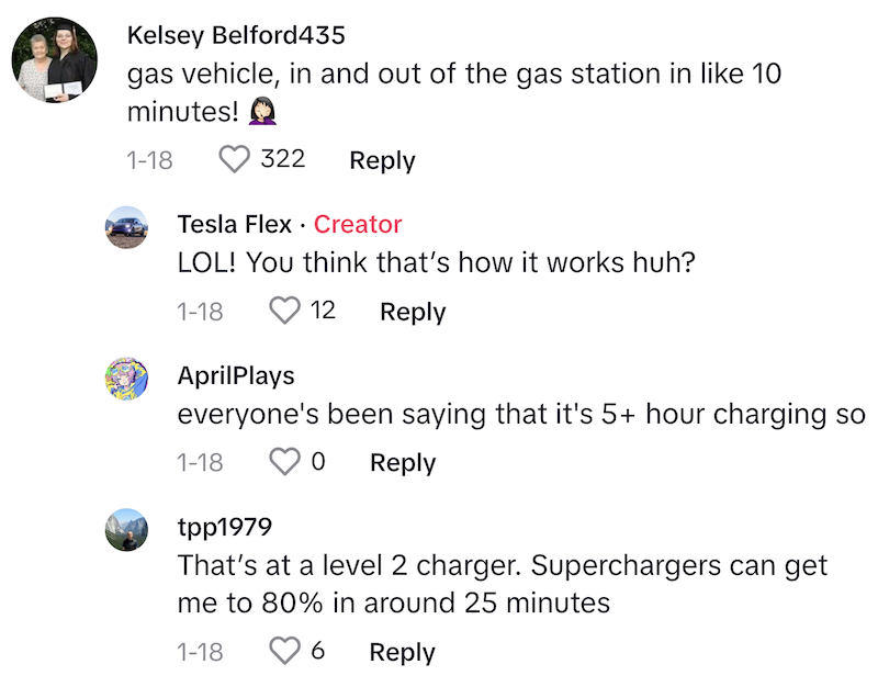 Source: TikTok/@tesla.flex