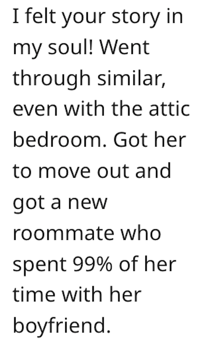 Goose Comment 1 When Insufferable Roommate Refuses To Move Out, Man Crafts Up A Hilarious Ad To Drive Her Away