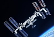 A Mutant Bacteria Was Discovered Aboard The International Space Station
