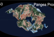 New Animation Shows How The Next Supercontinent Might Form In The Next 20 Million Years