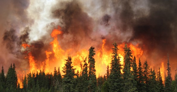 Source: Shutterstock