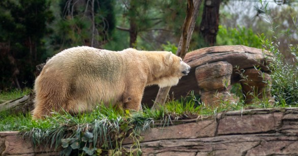 Source: Shutterstock