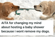 Her Old Friend Is Furious She Backed Out Of Hosting Her Baby Shower Because She Wouldn’t Remove Her Dogs