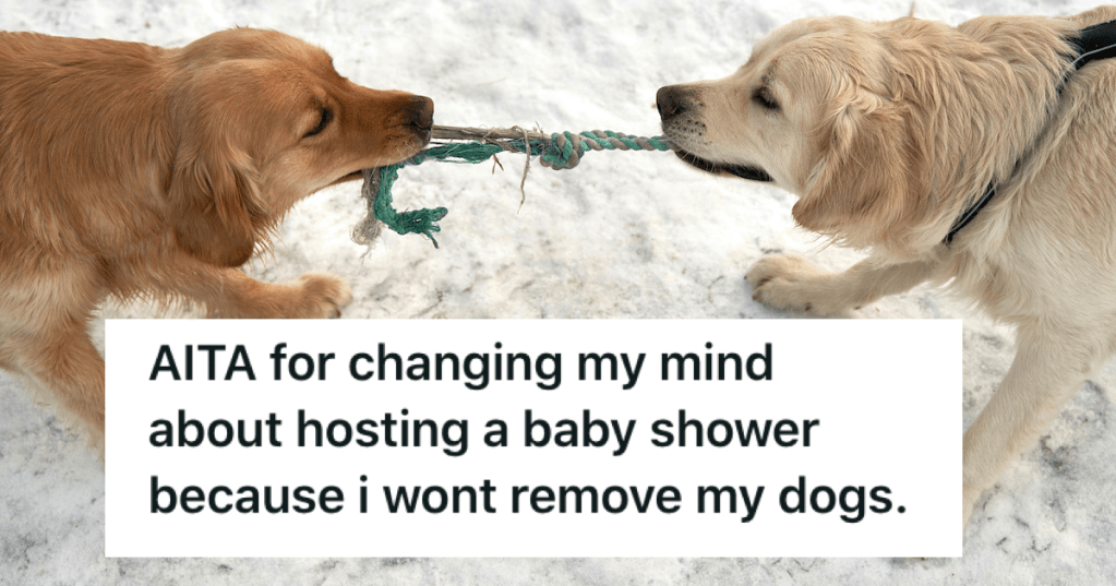 Her Old Friend Is Furious She Backed Out Of Hosting Her Baby Shower Because She Wouldn't Remove Her Dogs