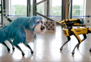 Boston Dynamic’s Robot Dog Now Has Hair And It’s Actually Kind Of Cute And Terrifying At The Same Time