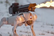 This $10,000 Flame-Throwing Robot Dog Can Be Controlled By Bluetooth To Shoot 30 Feet Of Fiery Destruction