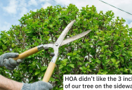 Petty HOA Sends A Request To Cut Three Inches Off A Tree, So Home Owner Responds With A Solution That Ruins What They Want