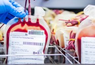 Universal Donor Blood Could Be Within Reach Thanks To A Bacteria Found In Our Guts